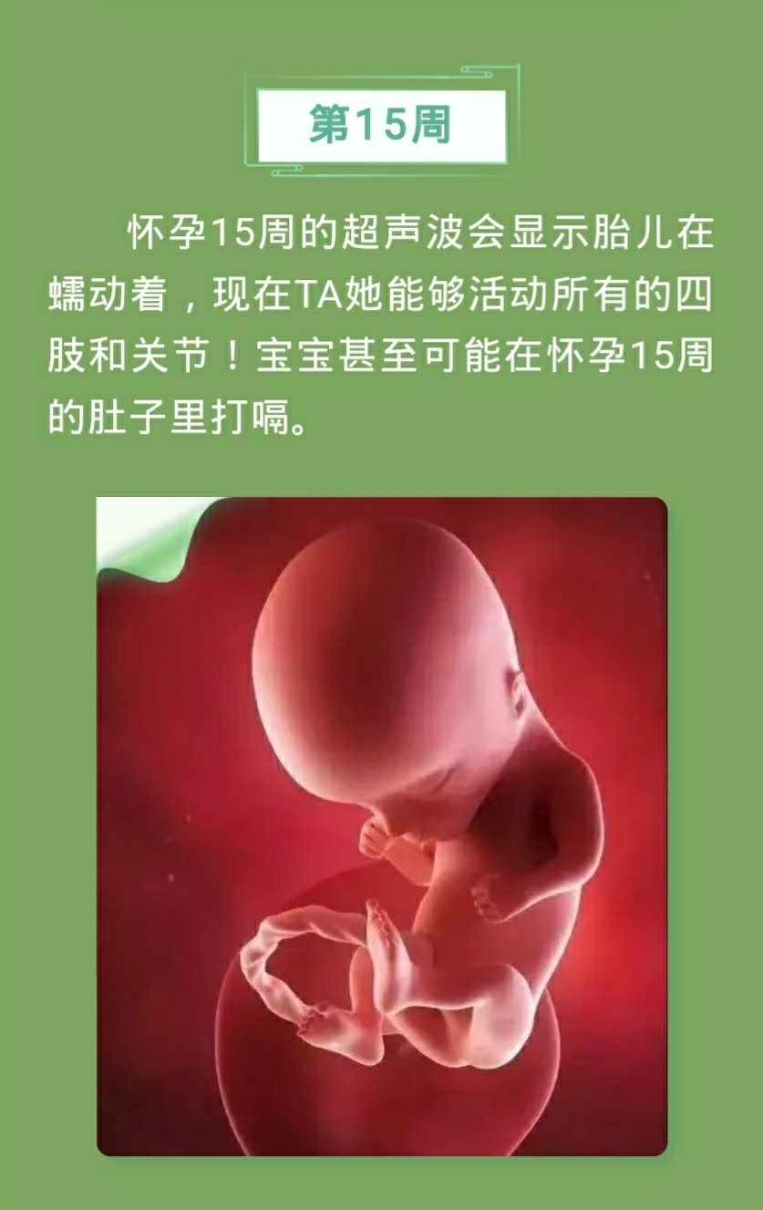 孕妇补锌到几个月停止