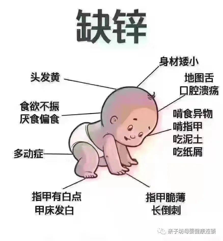 喜贝利锌硒宝