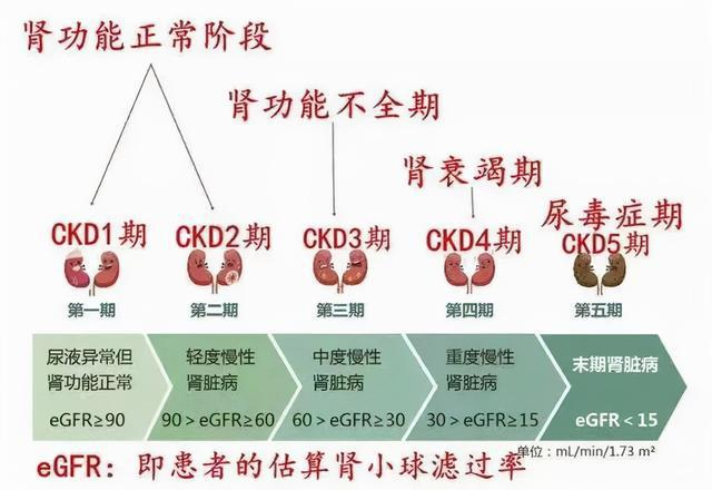 锌硒宝高尿酸
