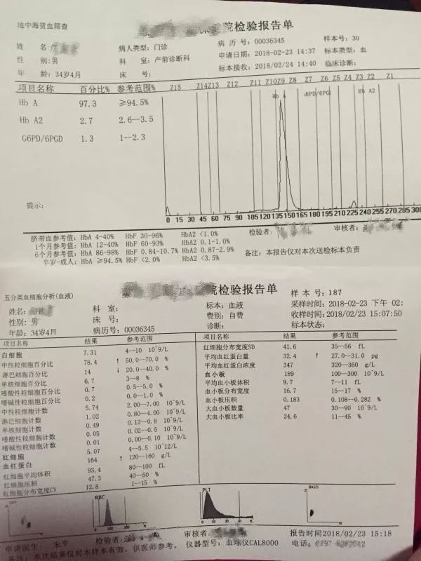 贫血需要补铁吗