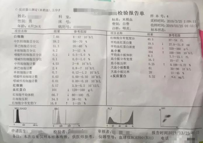 贫血需要补铁吗