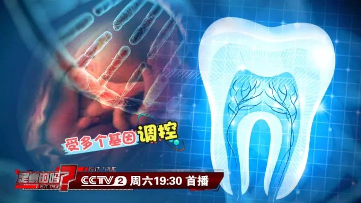 补钙能坚固牙齿吗