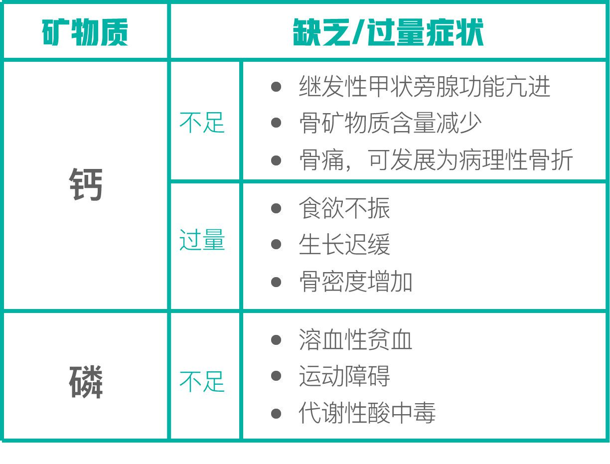 猫吃什么补钙