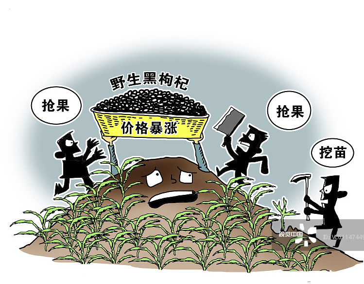 锌硒宝对孕妇