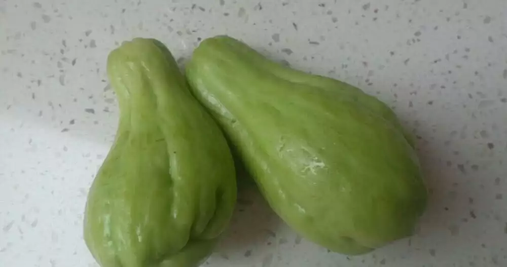 吃什么可以补锌