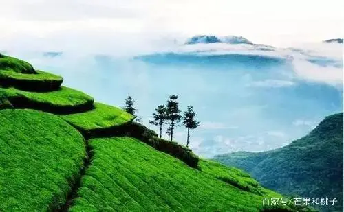 湖北有哪些地方