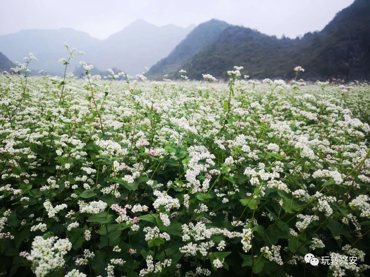 吃什么补钠效果最好的