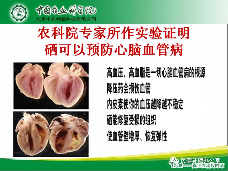 硒的作用与功效