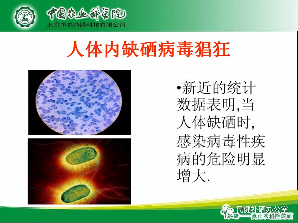 硒的作用与功效