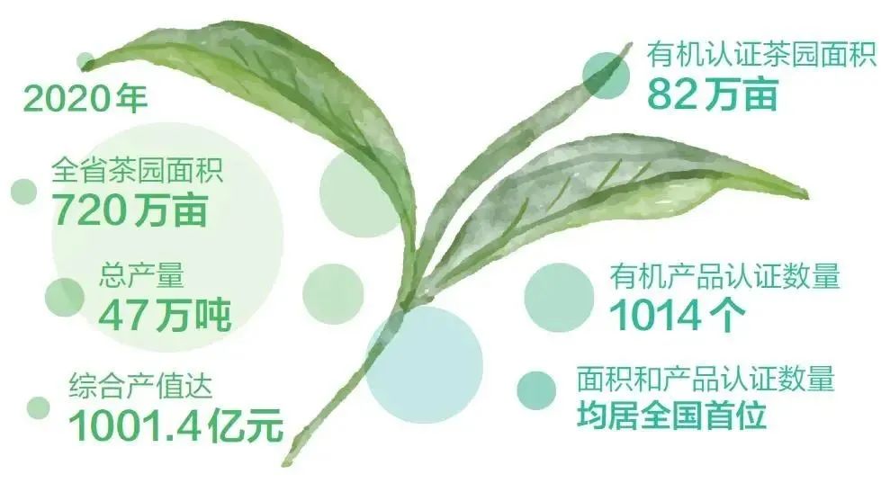 恩施富硒茶好吗