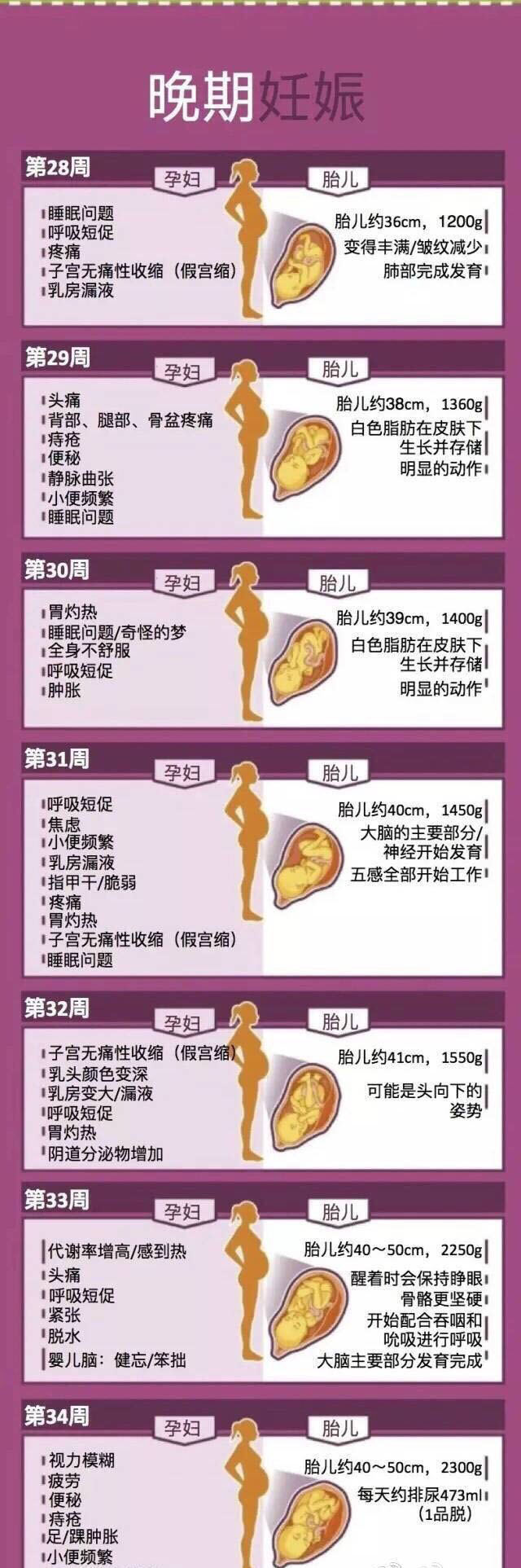 孕妇几个月补铁