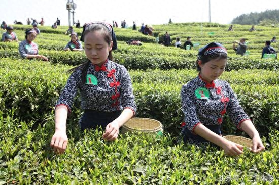 走进中国富硒第一村，村民怎么吃都不胖个个长寿，别名无癌村