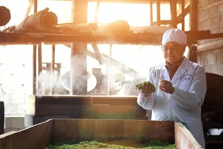 云雾恩施富硒茶