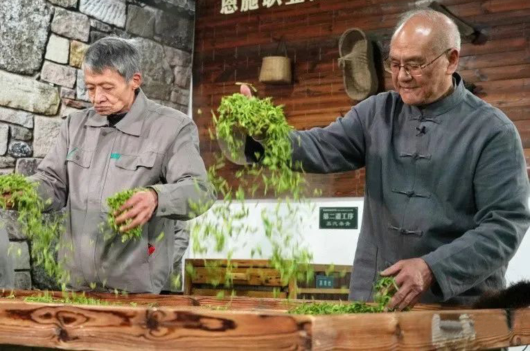 云雾恩施富硒茶
