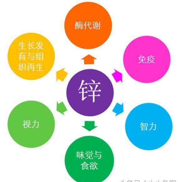 伊分子锌硒宝片