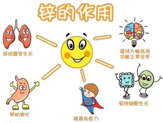 伊分子锌硒宝片