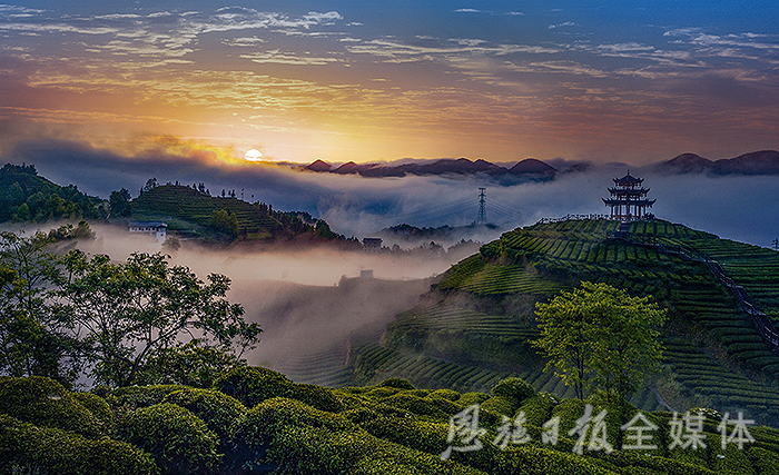 云雾恩施富硒茶