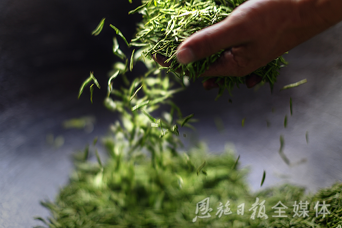 云雾恩施富硒茶
