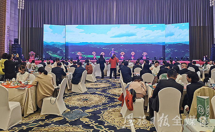 云雾恩施富硒茶