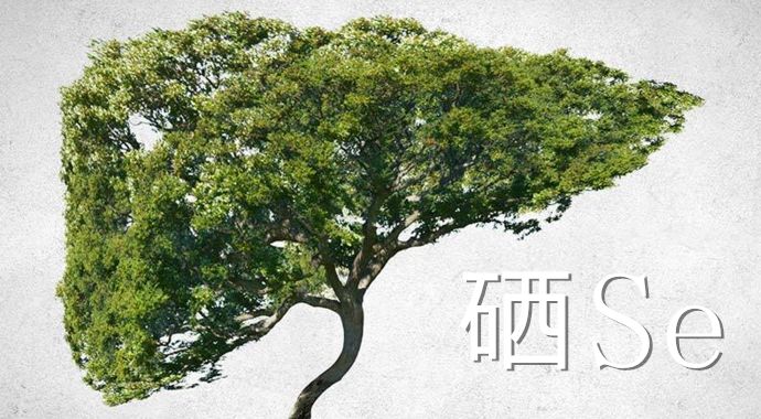吃什么药能补硒