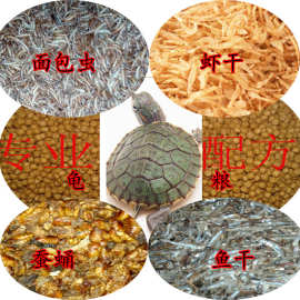 乌龟吃什么补钙