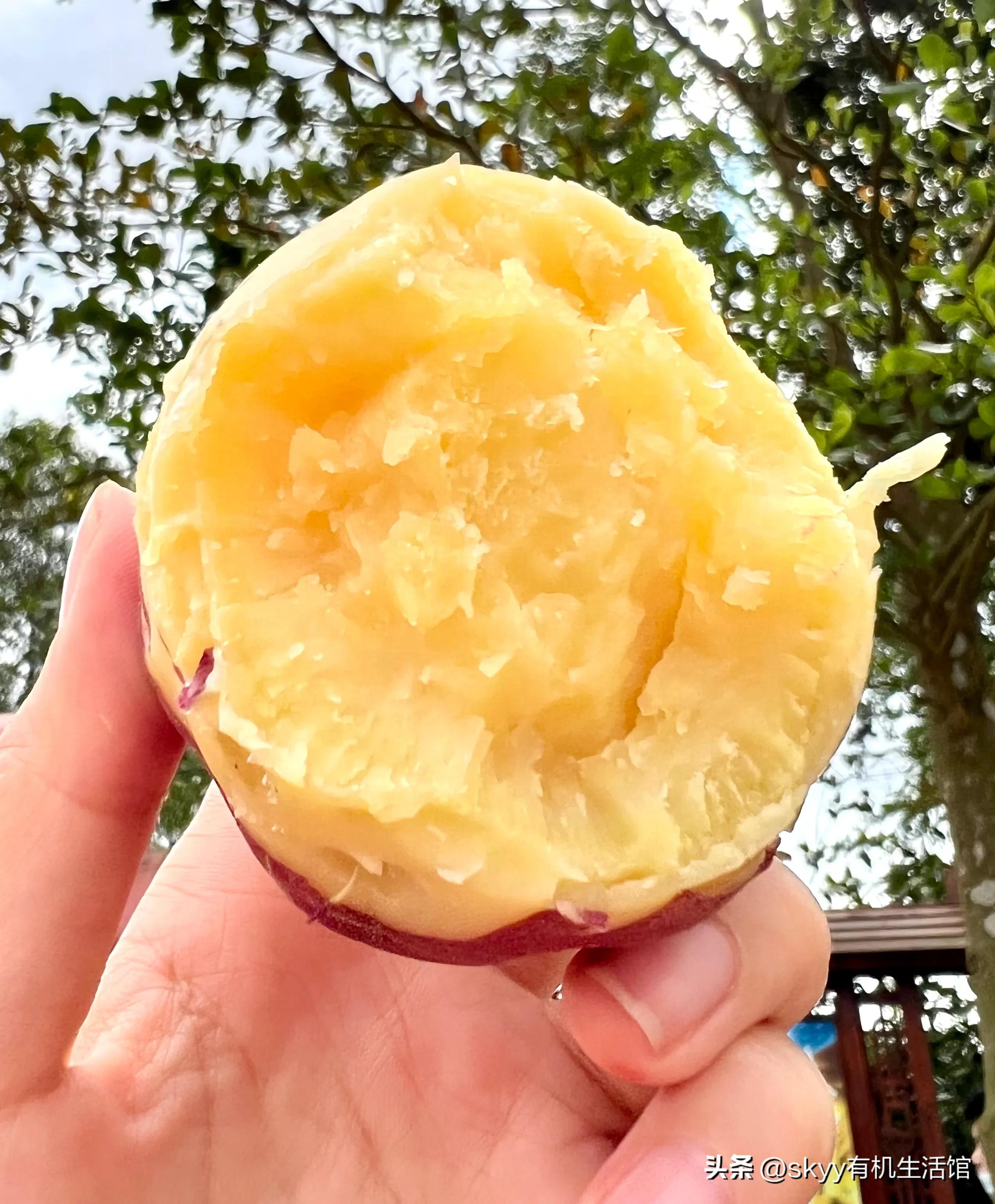 什么是富硒地瓜
