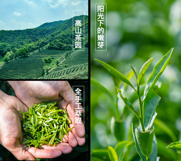 富硒茶的含硒量