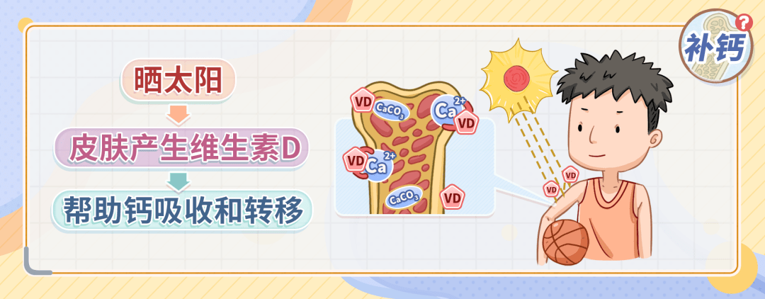 补钙吃啥食物补得快