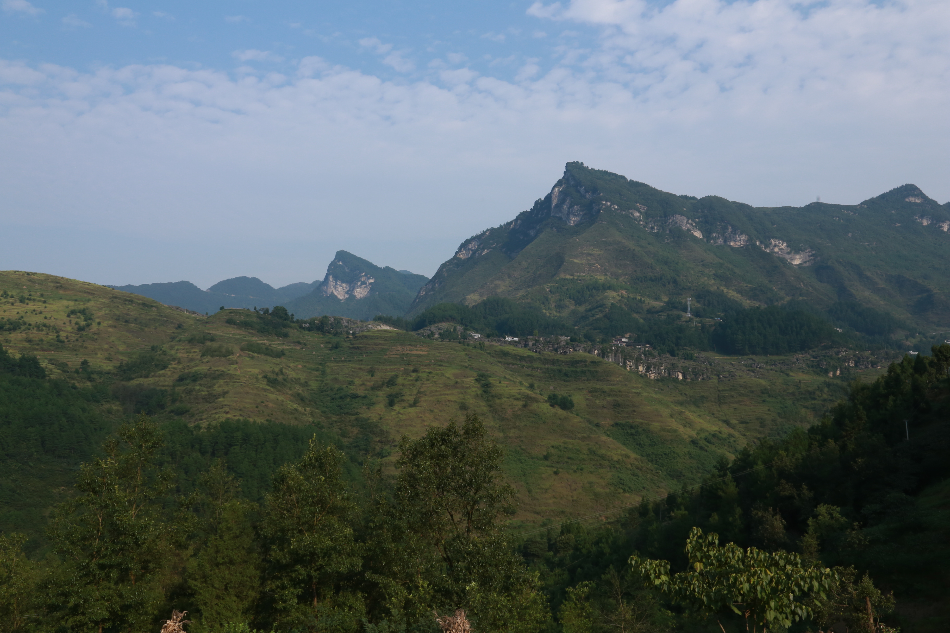 石台富硒茶价格