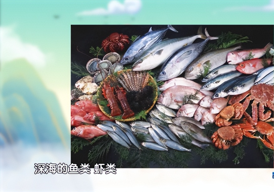 什么食物能补硒