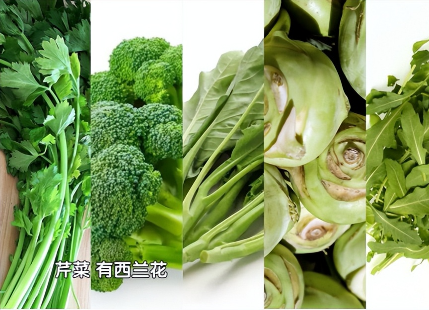 什么食物能补硒