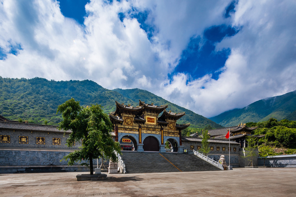 仙寓山 富硒茶