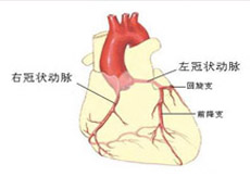 心脏病能补硒吗