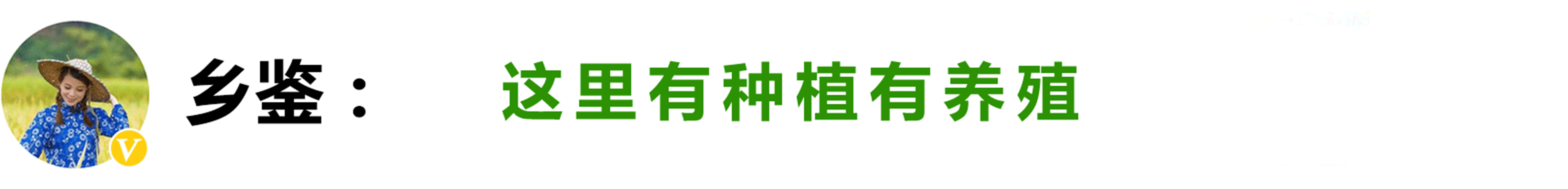 硒怎样补硒元素