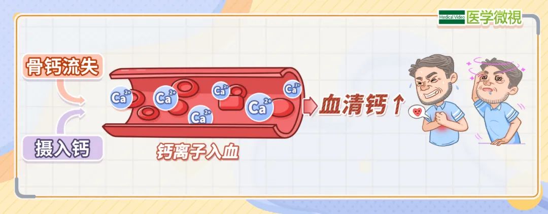 补钙的新知识
