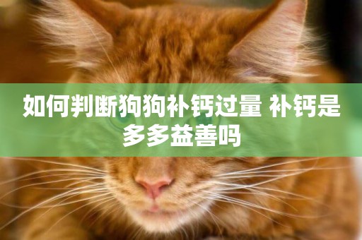 补钙过多的症状