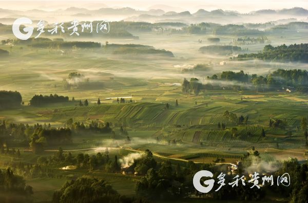 高州锌硒茶补硒