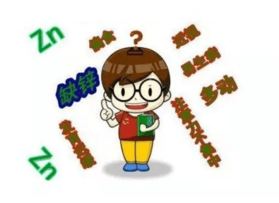 补锌可以长高吗