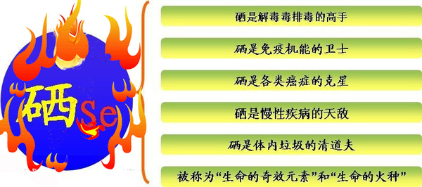 硒代蛋氨酸补硒