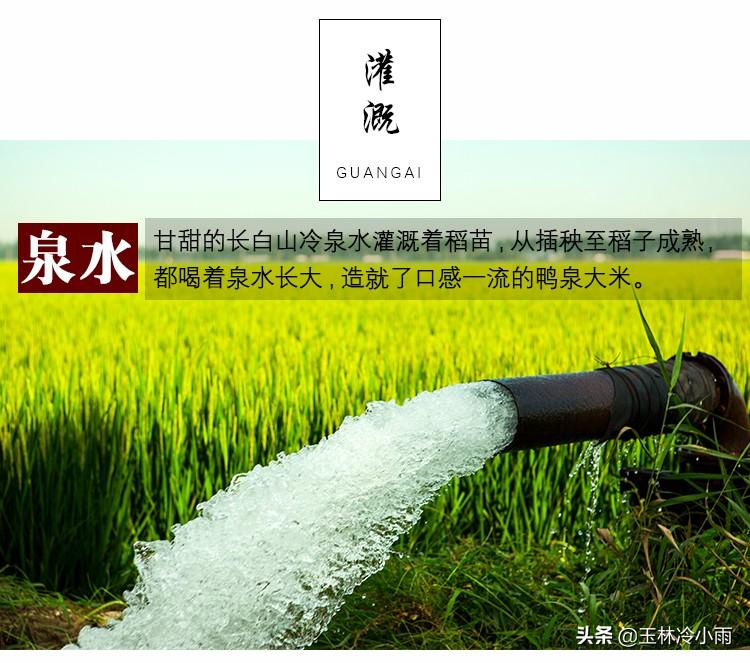 富硒康能补硒吗