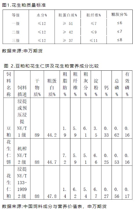 花生补钙吗