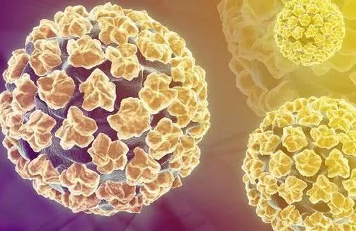 补硒防止hpv