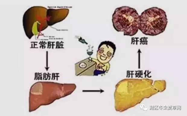 乙肝 补硒 量