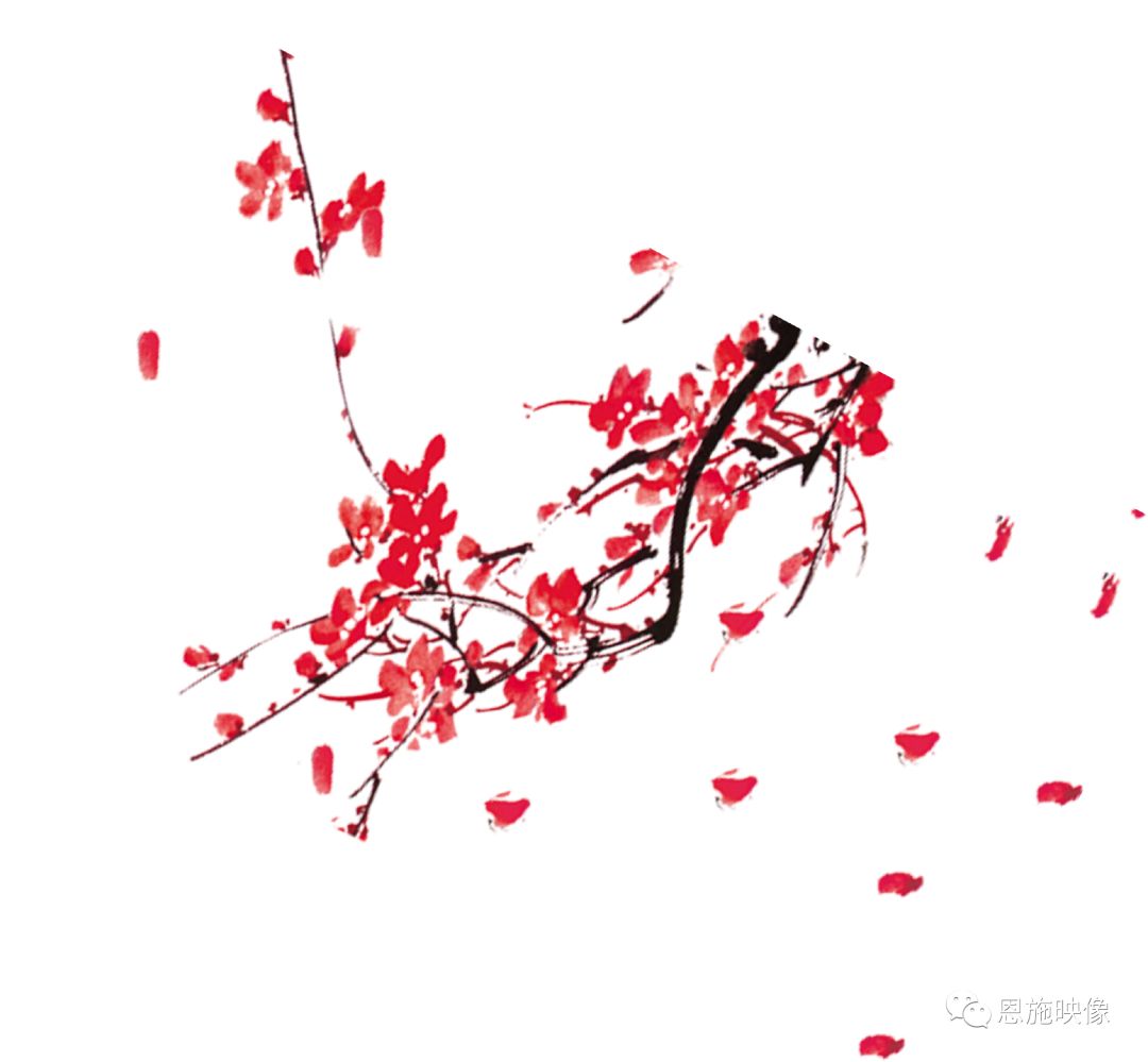补硒与谷胱甘肽