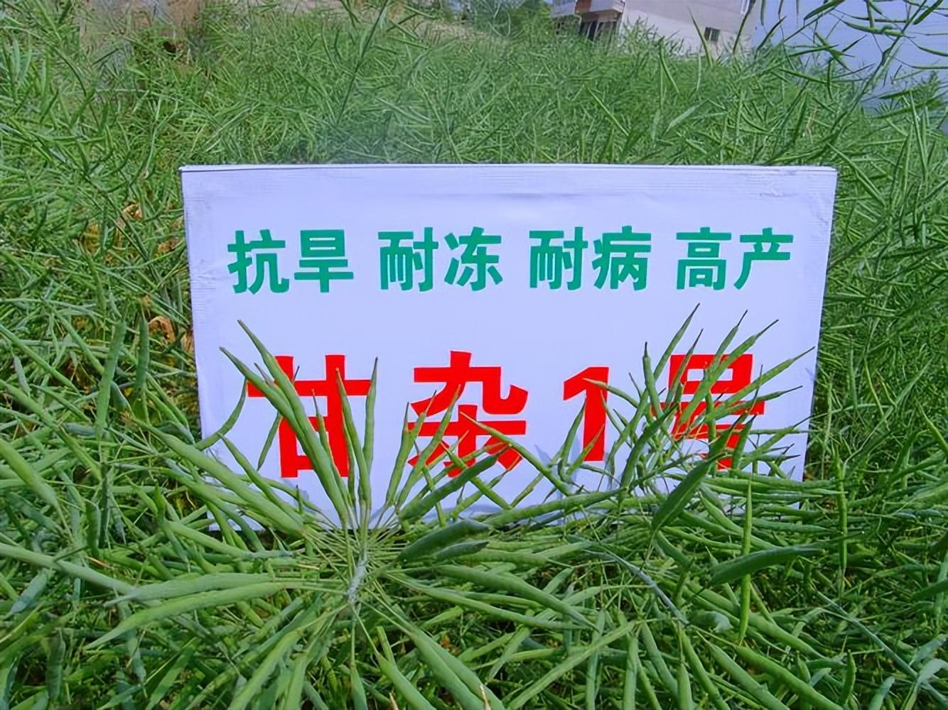 硒元素补多白带