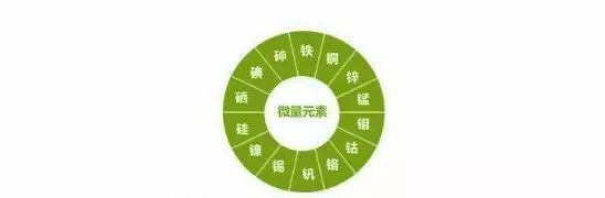 缺微量元素吃什么
