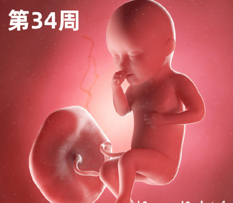 孕晚期怎么补硒