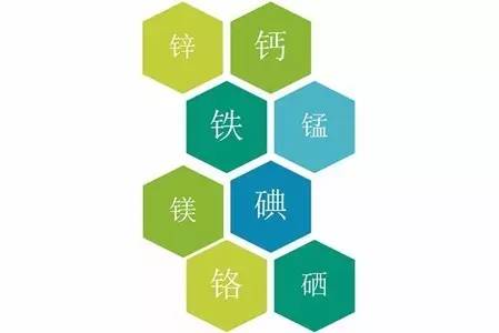 钙铁锌硒18补