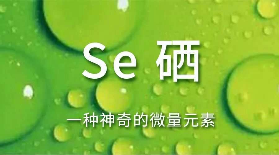 正确的补硒方法