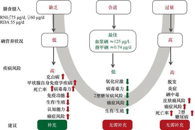自己做孕期补硒